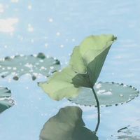 江栀忆原创作品