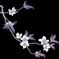 藍(lán)雪花的永恒