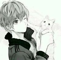 偷偷养猫