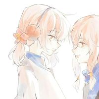 光遇樱书or书樱