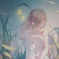 野奶兔