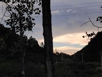 溫小嬋
