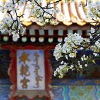 综清穿