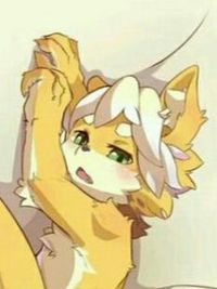 兽行者