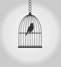 不黑舞桐
