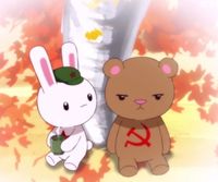 熊兔cp