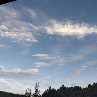 不要盗作品
