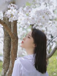 妙静鸥