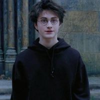 HP后宫