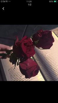 祺鑫文轩苏朱泗源翔霖