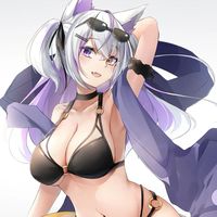 京剧猫之白糖的身份