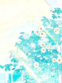 夕阳与少年
