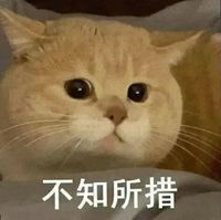 作者愛拖更慎入