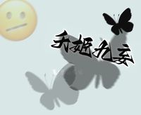 男主美女主帥