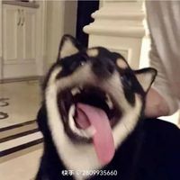 小氣球