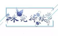 鸽子从不回头更文