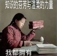 攻略守则