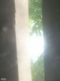 也不確定會(huì)不會(huì)有愛