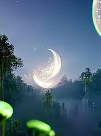 十二星座的日常