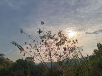 你煮的我都爱吃