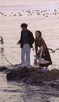 霸总追妻