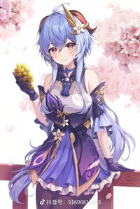 磕皮特的来这