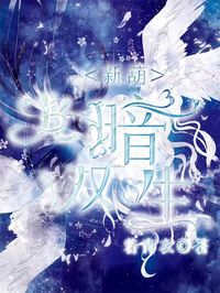 新葫之光暗雙生