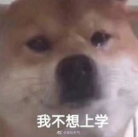 不得已而为之