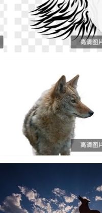 我竟然重生了黑桑说的