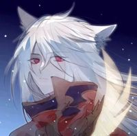 全網(wǎng)交友