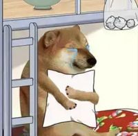 比格犬