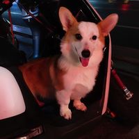 小说封面接单