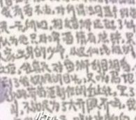 数语cp