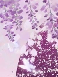 草貓