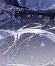 cp木柯