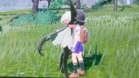 魔幻假面喵
