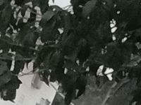 高端局
