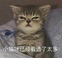 中后期无敌