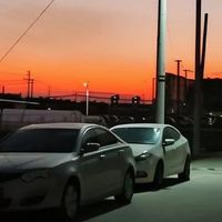 警察哥哥和法医弟弟