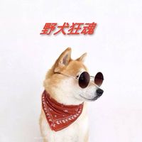 野犬狂魂