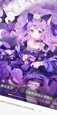 念宗宗主的妹妹