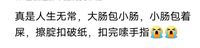 多男主或无cp