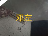 左邓逆了