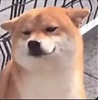 想念是拍下的初雪
