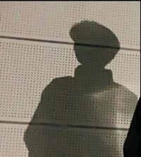 嚴(yán)惜婉賀琳喬