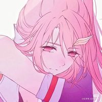 团宠花木兰