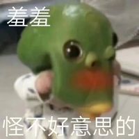 盛墨蘭x趙禎