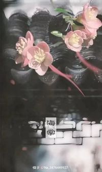 禾禾芉芉