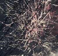 奔赴愛(ài)意