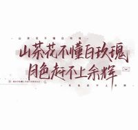 山茶花與白玫瑰
